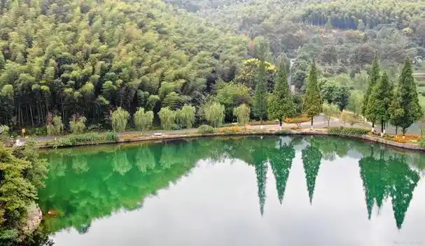 宜兴竹海怎么玩?带你走进宜兴感受清凉一夏!