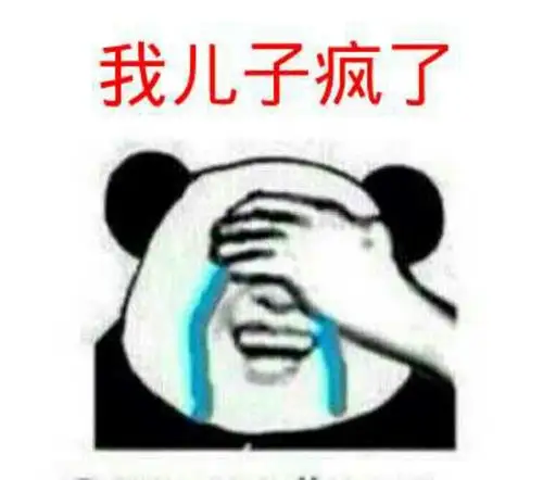 捂着脸哭:我儿子疯了 - 斗图表情包 - 金馆长表情库 - 真正的斗图网站