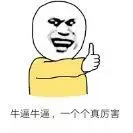 牛逼牛逼一个个真厉害