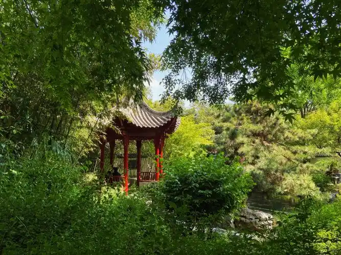 郑州周末好去处-紫荆山公园