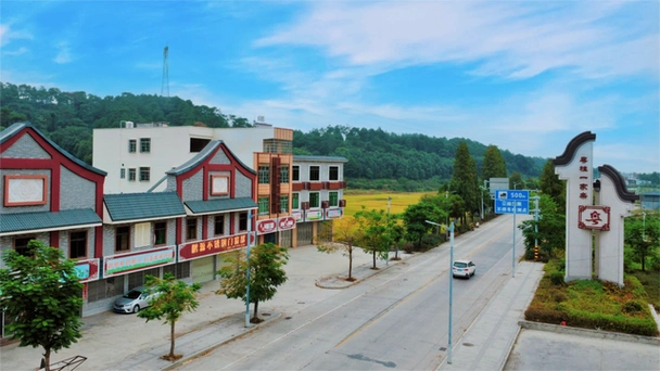 广州市番禺区石楼镇入选!广东省公布首批35个森林城镇名单