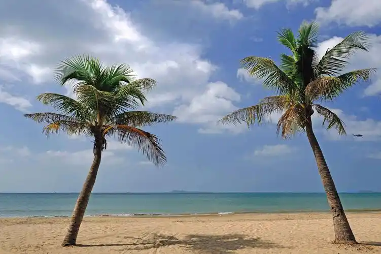 其它 美丽的三亚 写美篇感谢浏览欣赏 背景音乐  远方的思想 摄影与