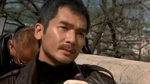 神偷谍影downtowntorpedoes(1997)