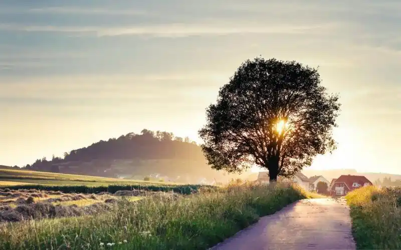 唯美幽深小路意境壁纸_通向人生的小路