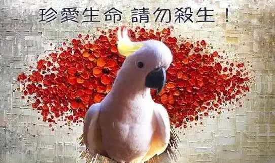 让我们共同努力,保护动物,关爱物命!请勿杀生,请珍惜生命!