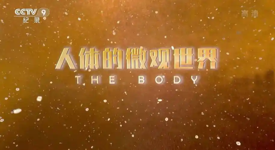 纪录片《人体的微观世界 the body》全8集 1080p高清纪录片资源