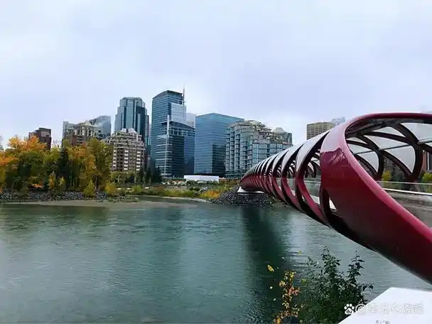 众多引人注目的城市中,下面给大家介绍一下加拿大的几个主要城市.