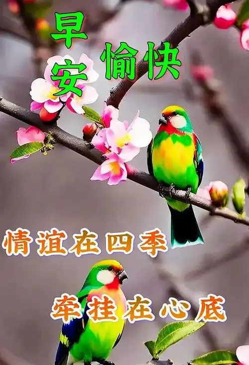 6月29日周四早上好周四早安祝福图片带早上好问候语新的一天吉祥如意