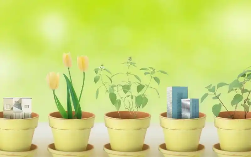 绿色小清新保护视力桌面壁纸高清大图预览1920x1200_风景壁纸下载_美