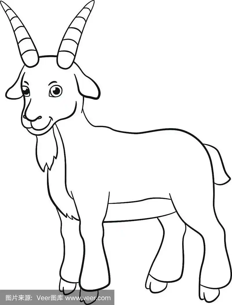 可爱的,山羊,牲畜,书页,小山羊