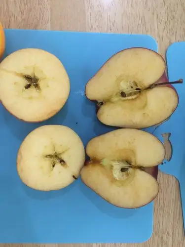 原来横切和竖切的切面是不一样的.