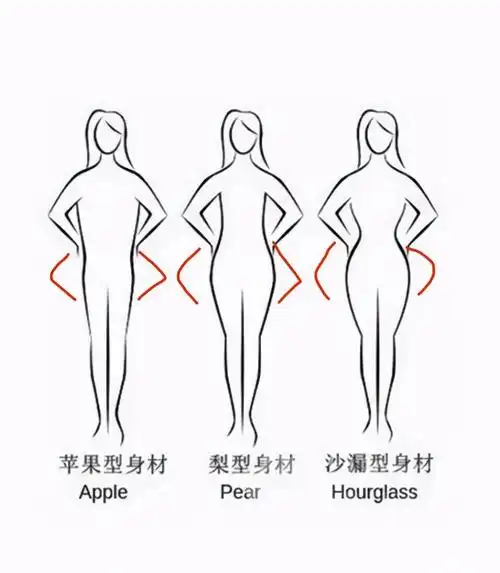 请教健身大神女性身材变化控制