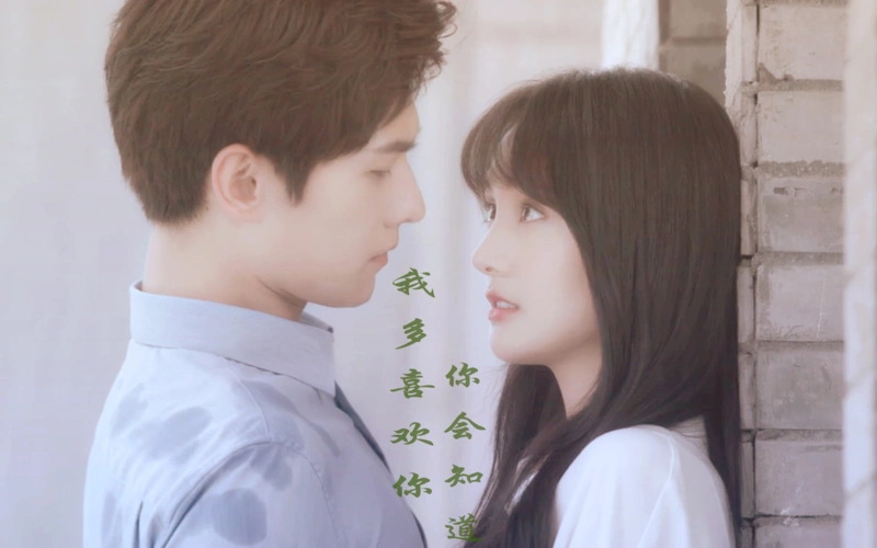 【杨洋郑爽】【倾城夫妇】我多喜欢你,你会知道_哔哩哔哩 (゜-゜)つロ