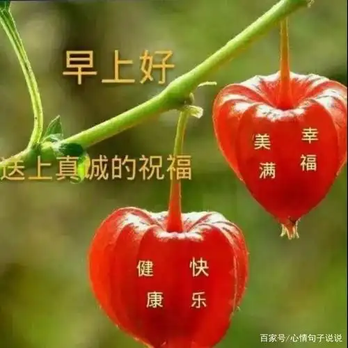 非常创意好看的友谊早上好问候图片带字温馨唯美春天早安祝福图片