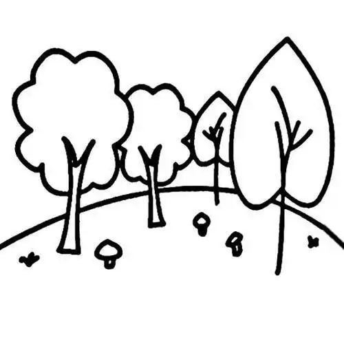 儿童简笔画森林