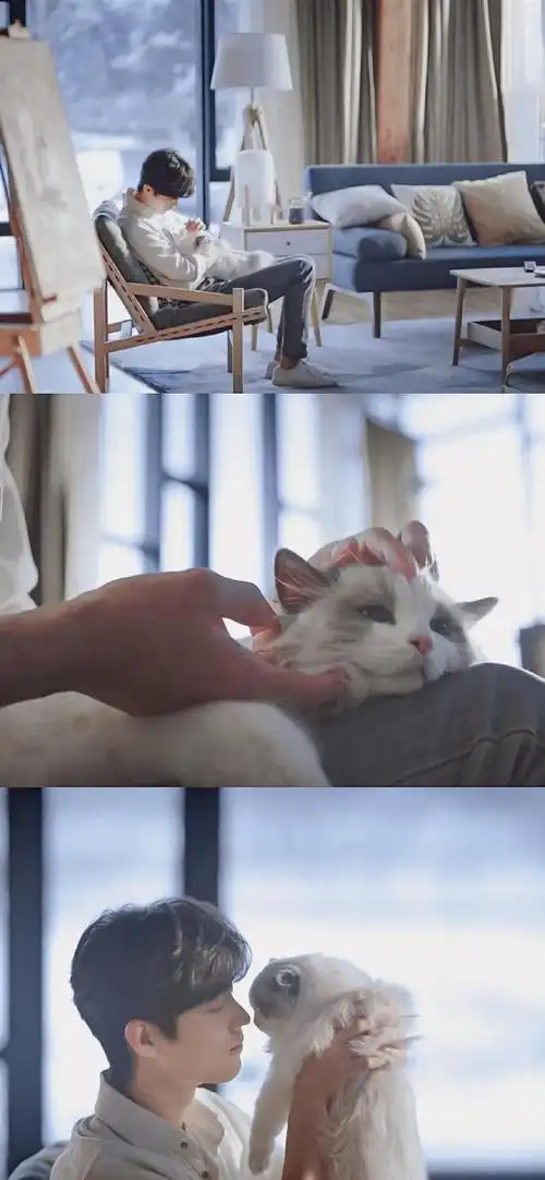 肖战三格拼接高清手机壁纸