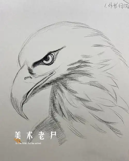 笔记灵感  #儿童美术  #美术  #素描动物  #零基础素描  #素描画