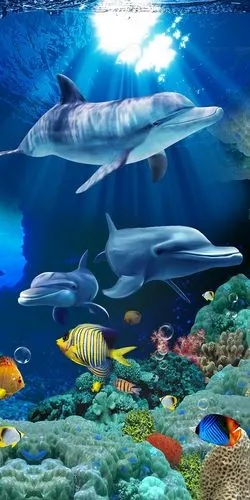 3d海洋世界图案