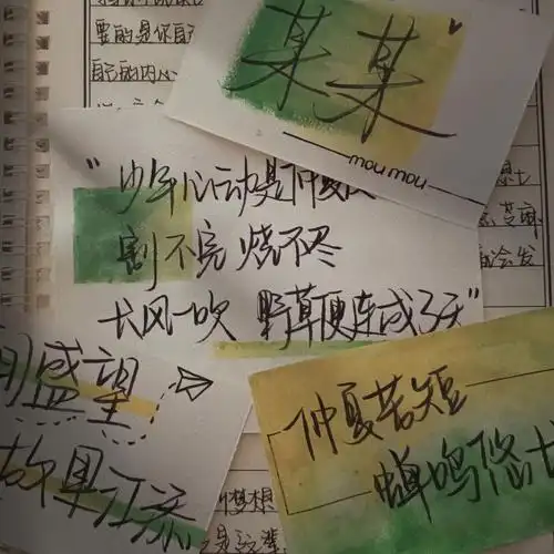手写  #手写文案  #染卡[气球r]分享小众语录#某某  #木苏里[星r]