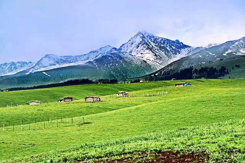 新疆是个好地方(3): 高山草甸,峡谷深林,鲜花盛开的喀拉峻大草原