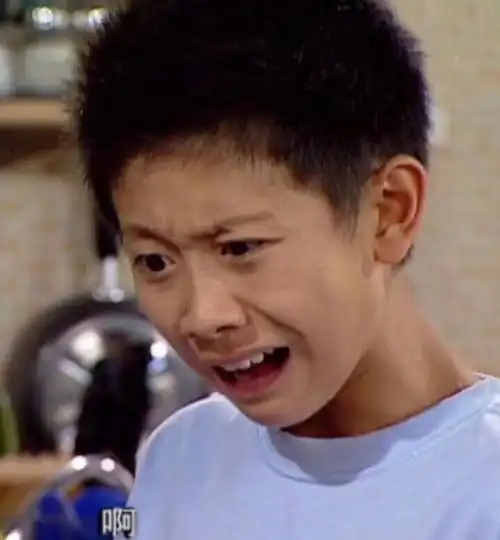 (家有儿女刘星)_刘星_家有_儿女表情