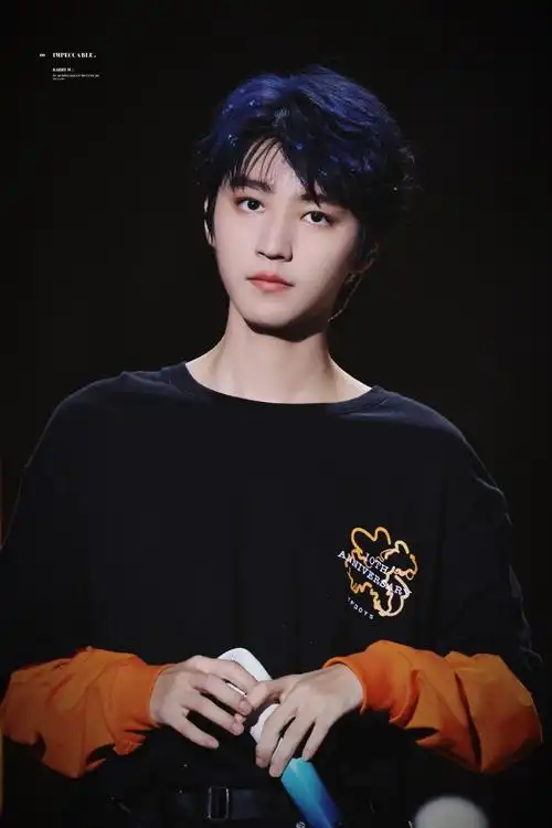 王俊凯十周年演唱会单人机位