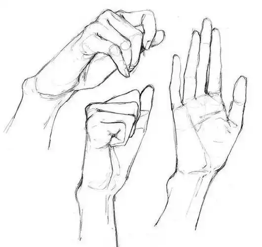 手的画法