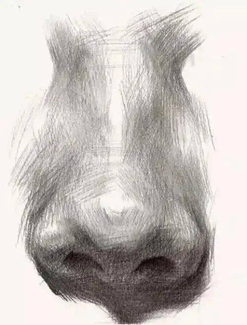 素描鼻子画法分步骤图解 素描鼻子多角度分析画法教学_美术网