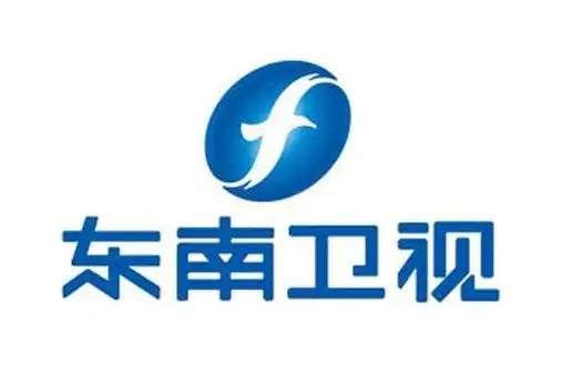 卫视广告投放有哪些优势特点?