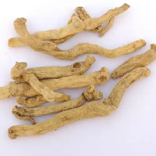 玉竹图片玉竹草本野菜植物图片