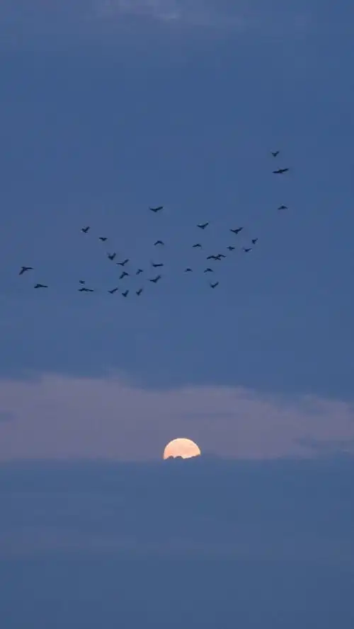 ins背景图天空云朵抱图吱一声