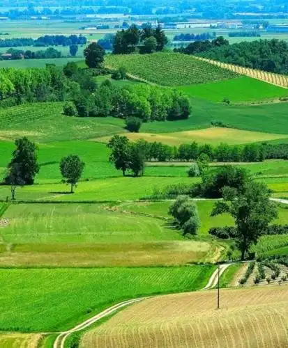 景色迷人的乡村田野