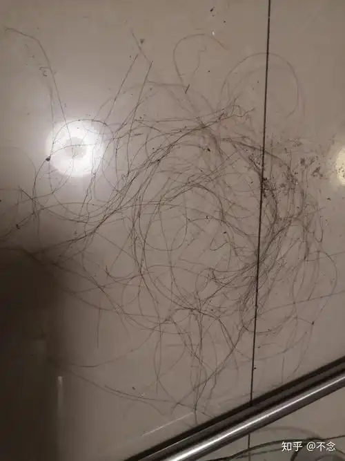 头发烫焦了怎么补救