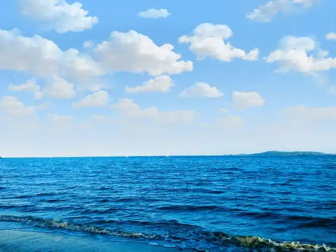 我就是一个大海爱好者0169