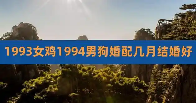 1993女鸡1994男狗婚配几月结婚好,男狗女婚配怎么样