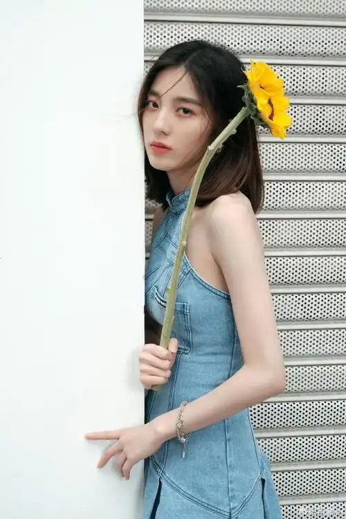 向日葵般昂扬万鹏