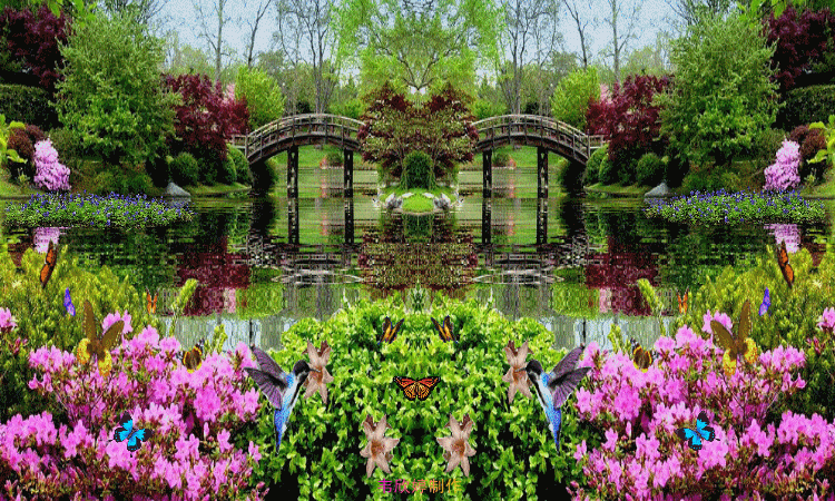 750_450gif 动态图 动图