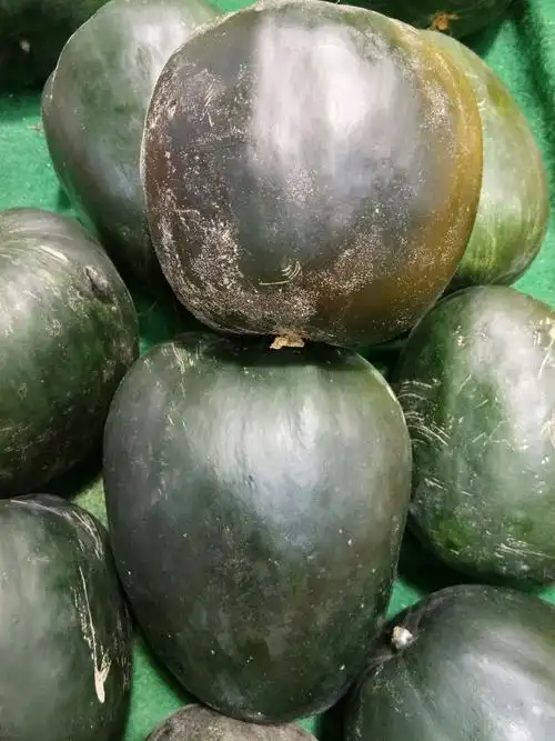 胡营二店周三赶大集