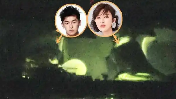 张俪的老公是(张俪的抖音)-天晟网