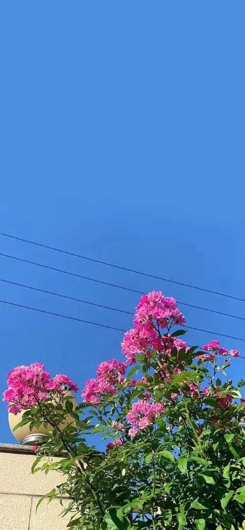 背景图##小众壁纸##ins风壁纸##适合微信置顶的文案##朋友圈背景图