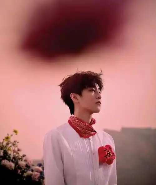 王俊凯一朵小红花造型,氛围感拉满