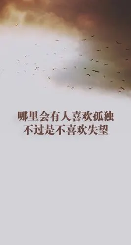 哪里会有人喜欢孤独,只不过是不喜欢失望.文字壁纸.