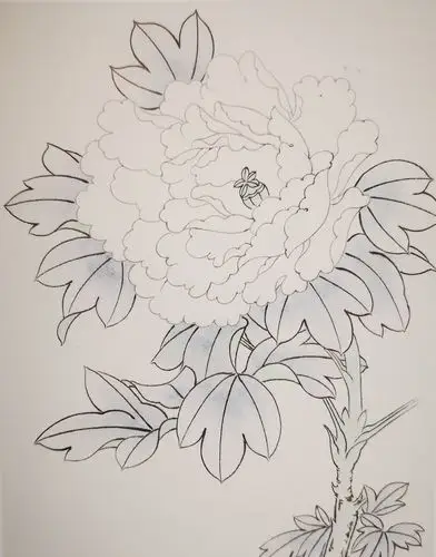 浅谈工笔牡丹技法教程