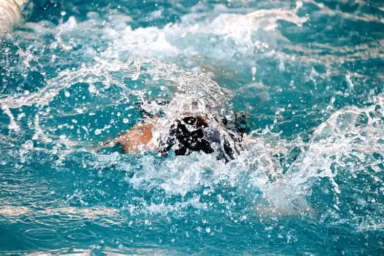 蛟龙入水斩浪前行记二中苏元2018年游泳运动会