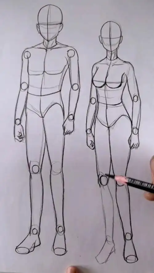 手绘动漫人体结构比例