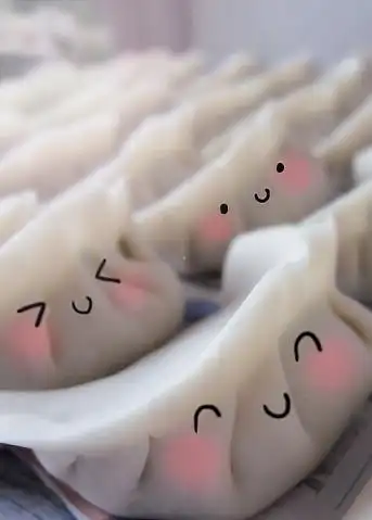 山东饺子机 大连饺子机 哈尔滨饺子机 水饺机