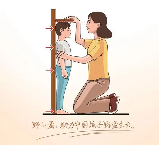 而在身高增长比较平稳的儿童期,则可每3个月测量一次身高