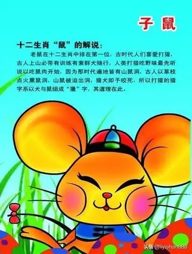 1996年属鼠事业-第1张图片-星空运势网