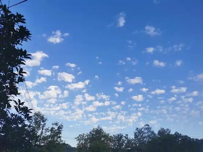 夏季早上的天空