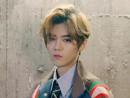 鹿晗超话#鹿晗创造营2020# 鹿晗lh 猜猜鹿哥下张自拍什么发型